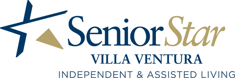logo_VillaVentura-Blue&Gold
